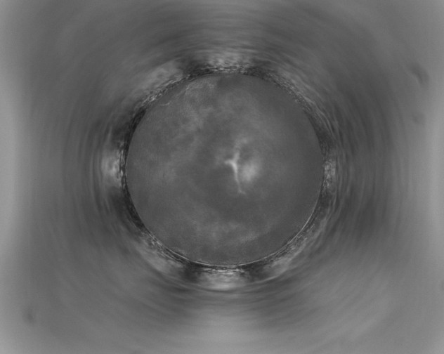 X0000115660671200911121215