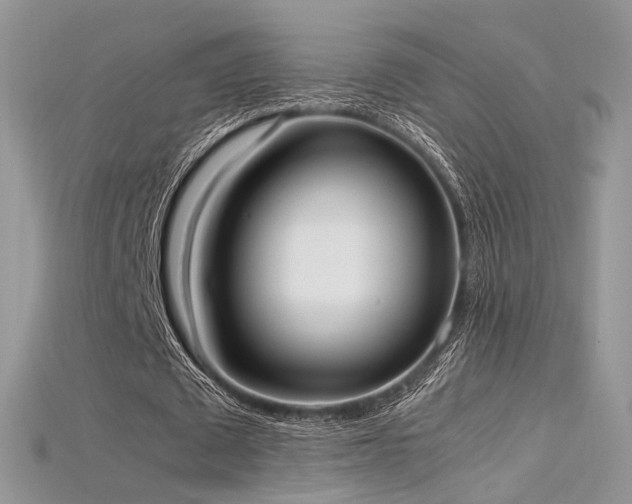 X0000115660673200911121214