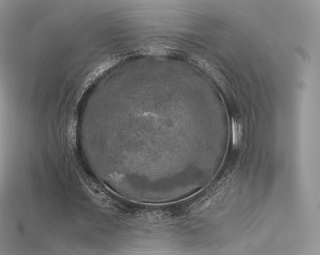 X0000115660675200911121214