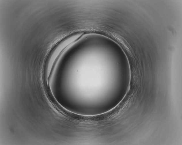 X0000115660677200911121214