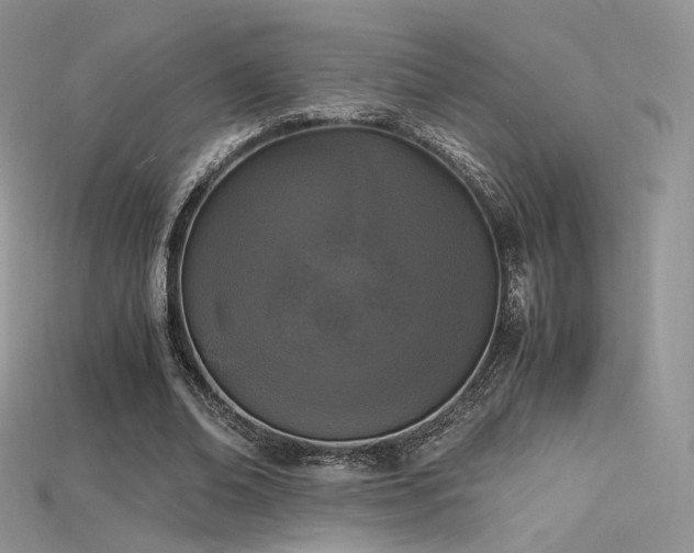 X0000115660678200911121214
