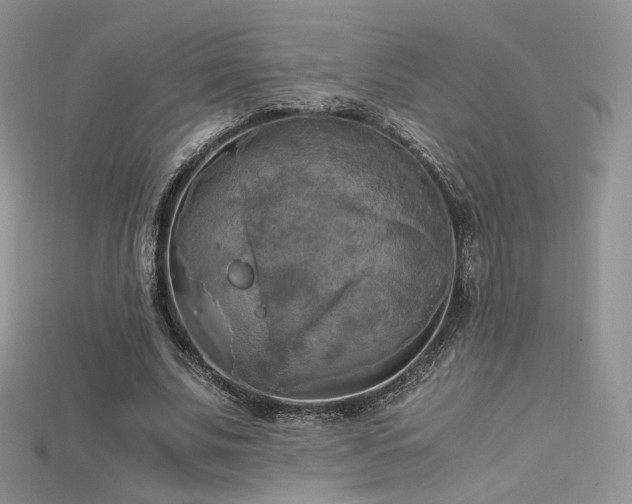 X0000115660679200911121214