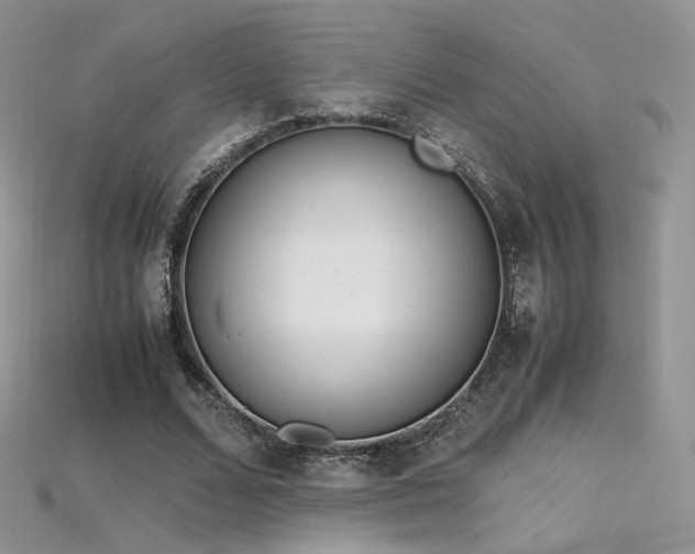 X0000115660680200911121214
