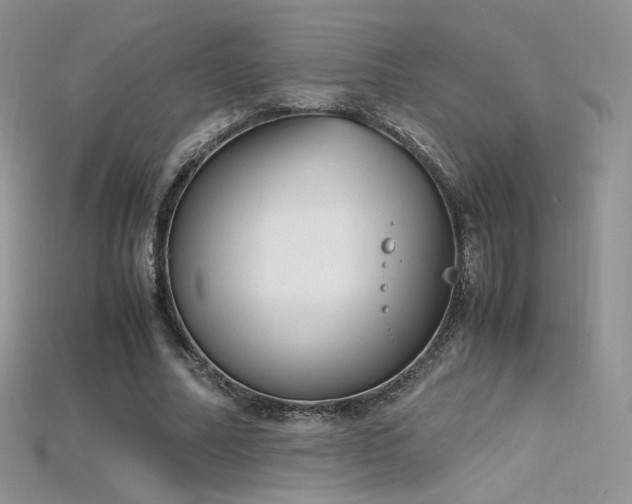 X0000115660682200911121214