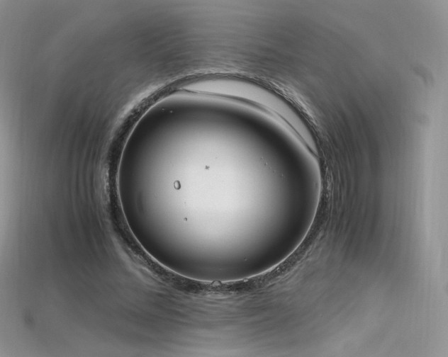 X0000115660684200911121214