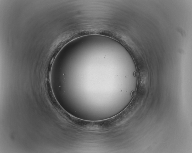 X0000115660685200911121214