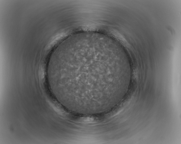 X0000115660687200911121214