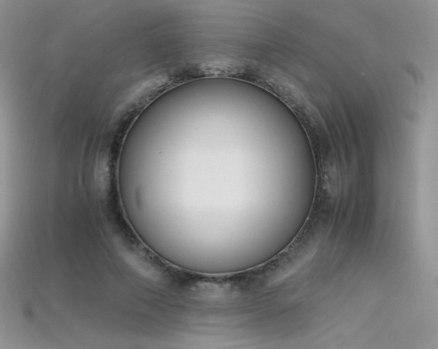 X0000115660690200911121214