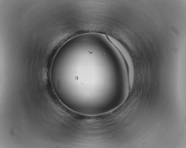 X0000115660692200911121214