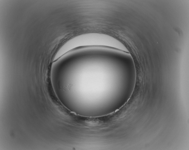 X0000115660693200911121214