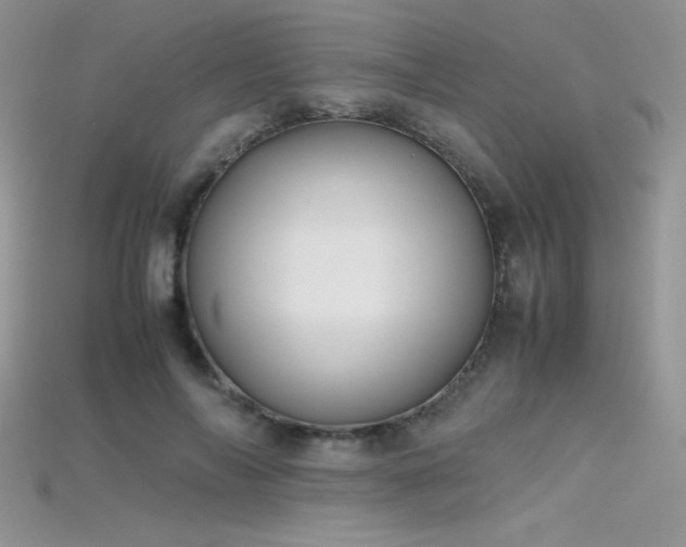 X0000115660694200911121214