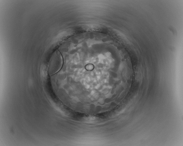 X0000115660695200911121214
