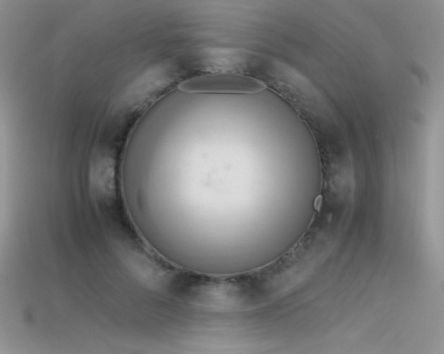 X0000115660696200911121214
