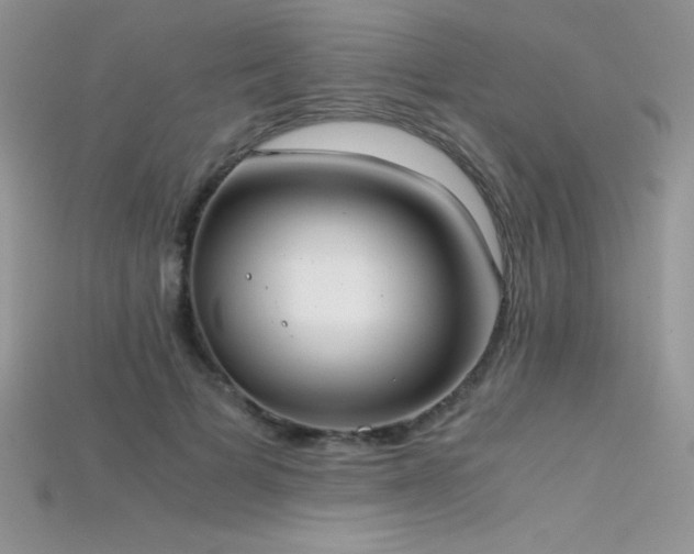 X0000115660697200911121214