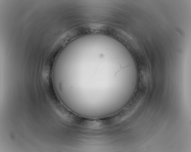 X0000115660698200911121214