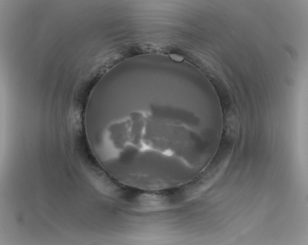 X0000115660699200911121214