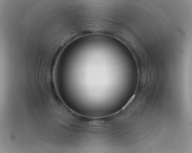 X0000115660700200911121214