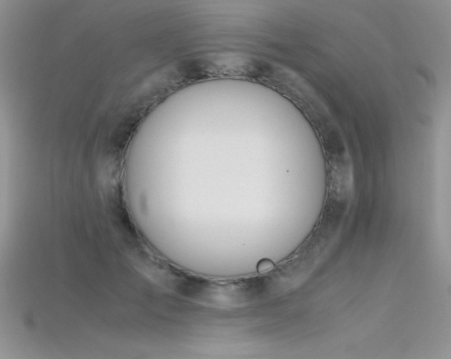 X0000115660701200911121214