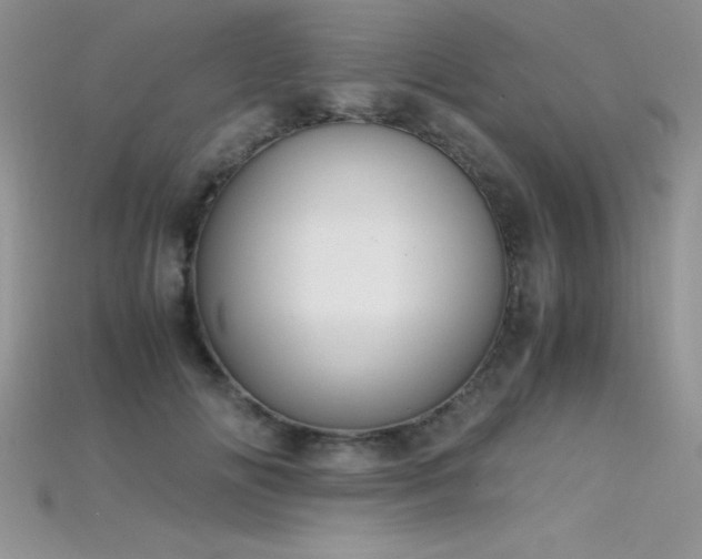 X0000115660702200911121214