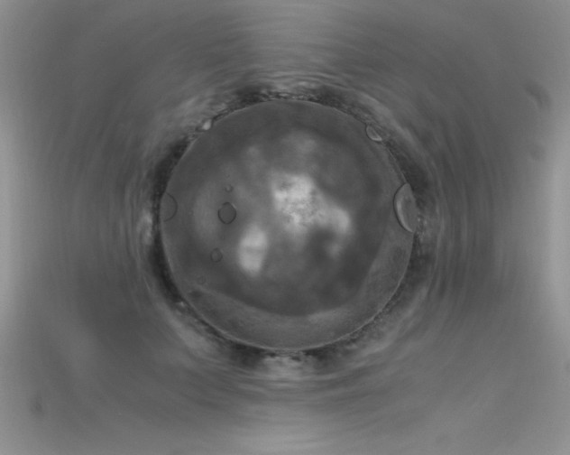 X0000115660703200911121214