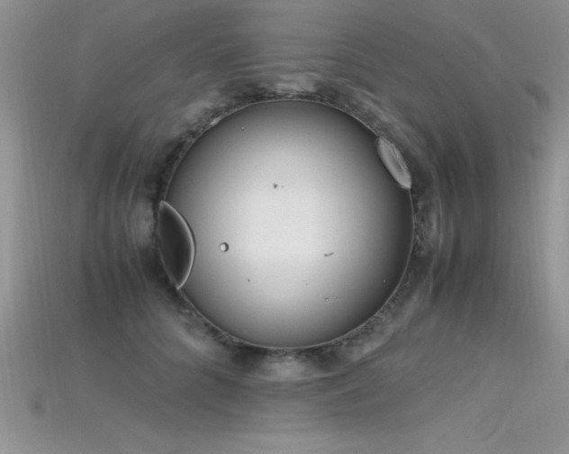 X0000115660704200911121214