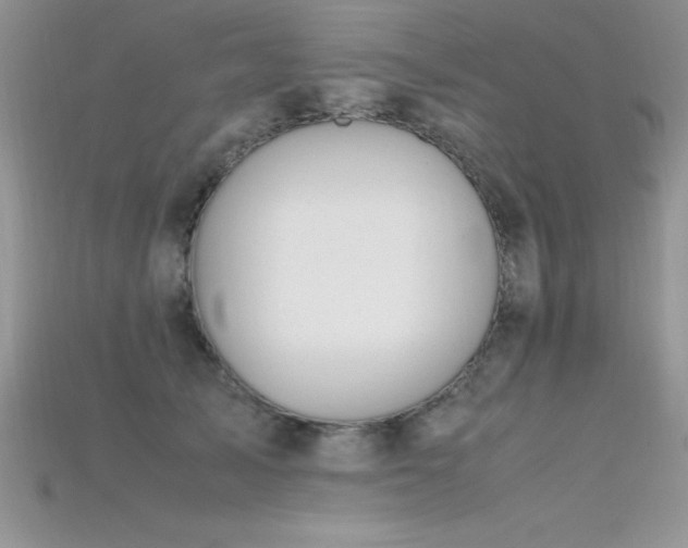 X0000115660705200911121214