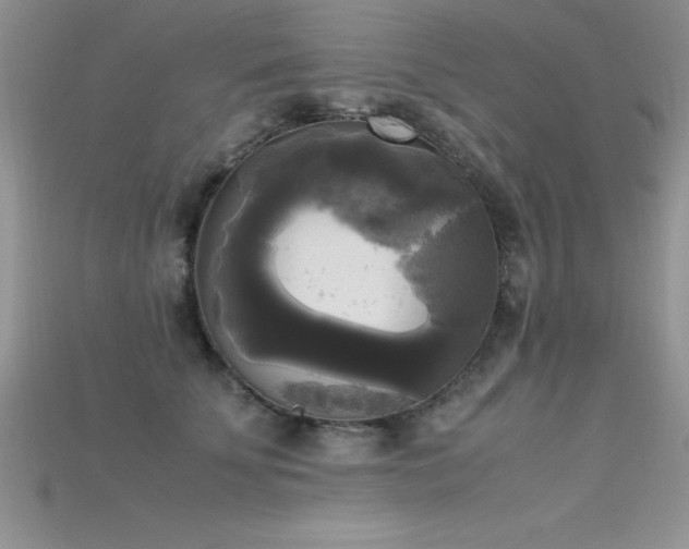 X0000115660707200911121214
