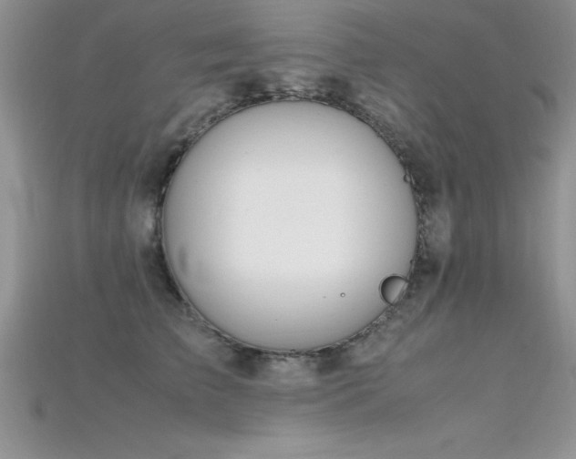 X0000115660709200911121214