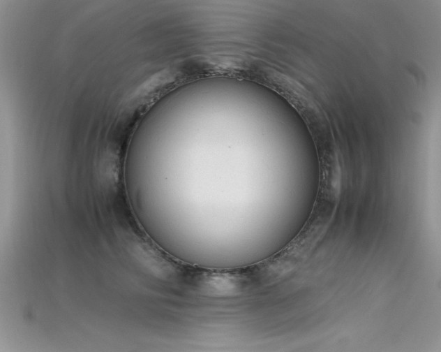 X0000115660710200911121214
