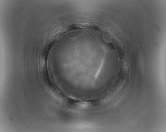 X0000115660711200911121214