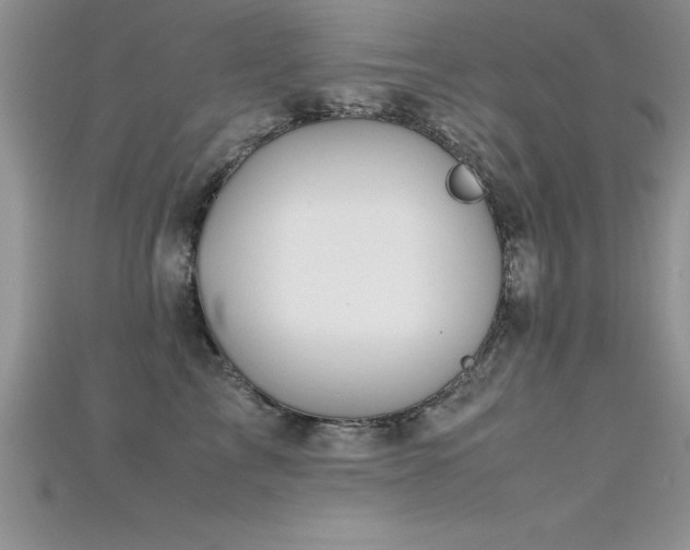 X0000115660713200911121214