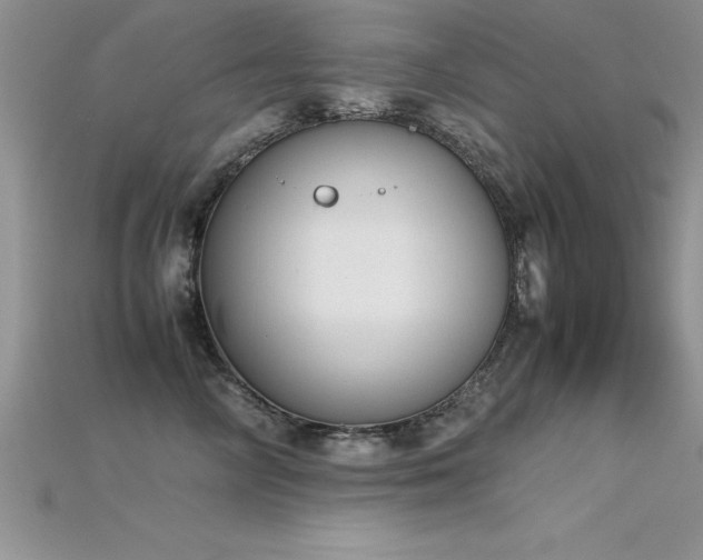 X0000115660714200911121214
