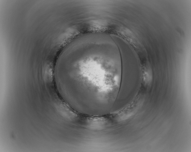 X0000115660716200911121214