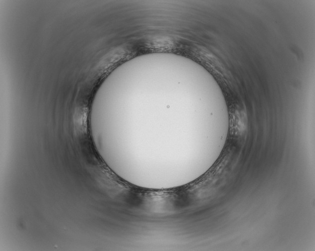 X0000115660717200911121214