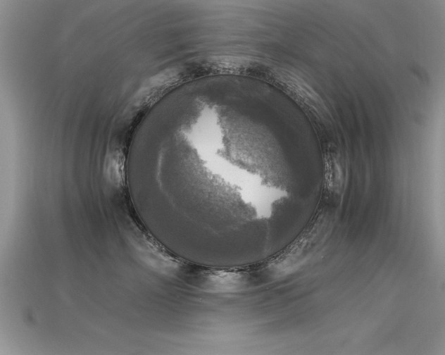 X0000115660718200911121214