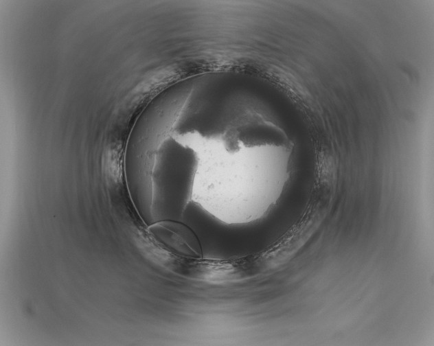 X0000115660719200911121214