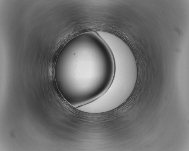 X0000115660720200911121214
