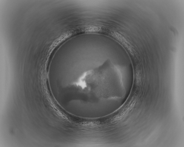 X0000115660721200911121213