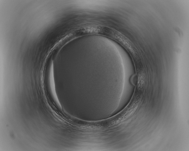 X0000115660722200911121213
