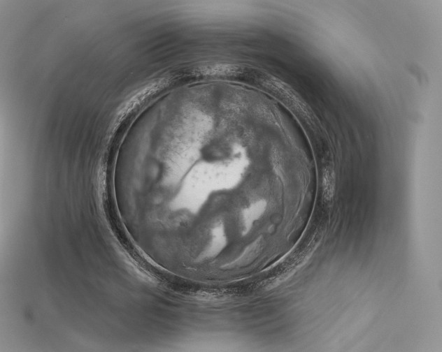 X0000115660725200911121213