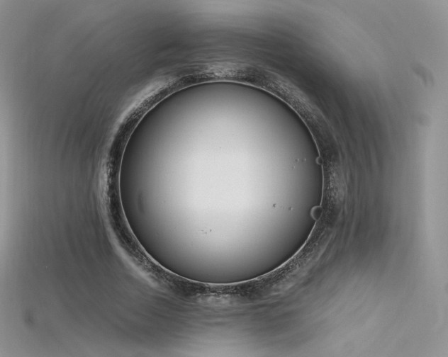 X0000115660730200911121213