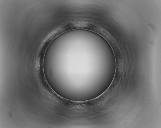 X0000115660731200911121213