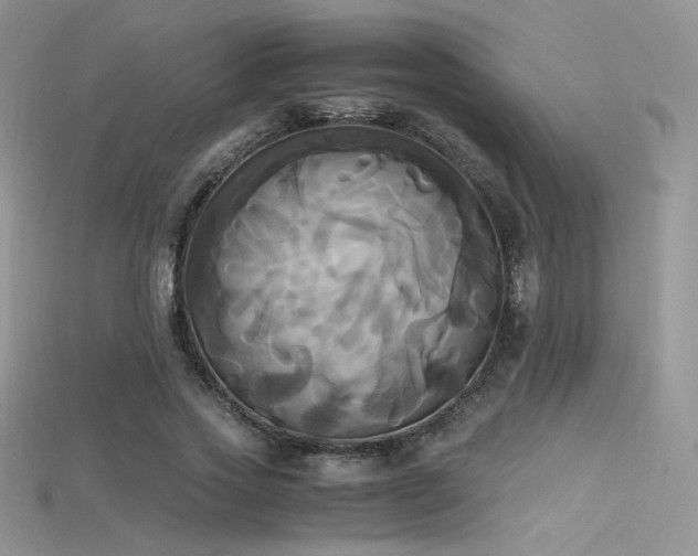 X0000115660733200911121213