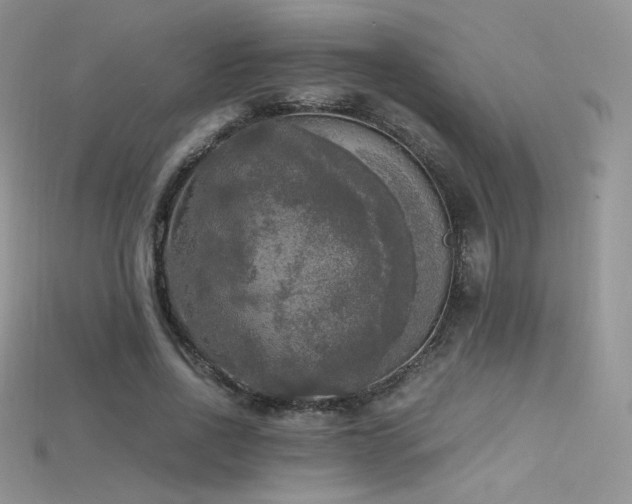 X0000115660734200911121213