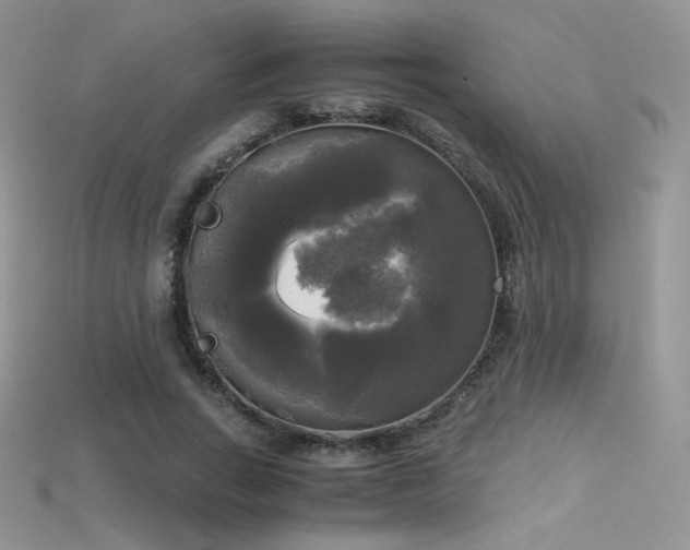 X0000115660735200911121213