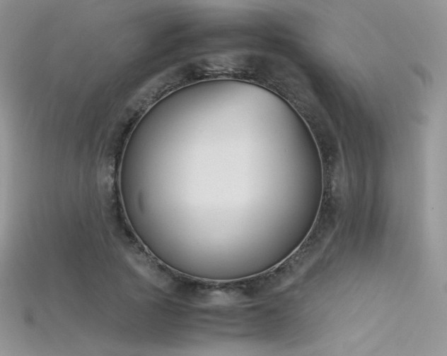 X0000115660737200911121213