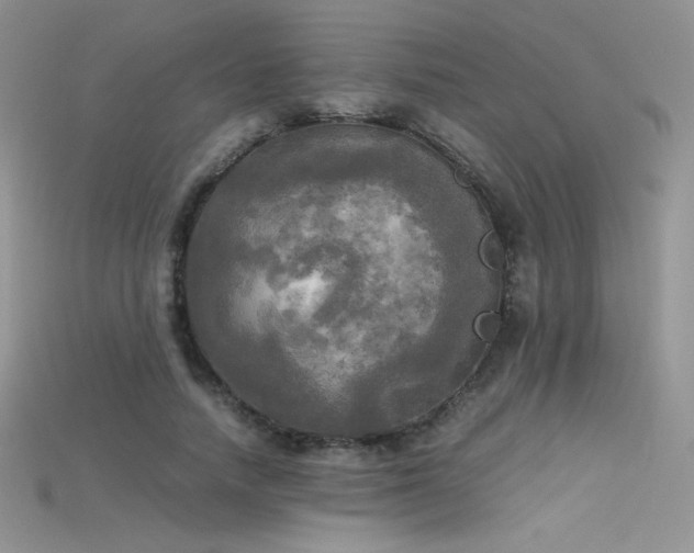 X0000115660738200911121213