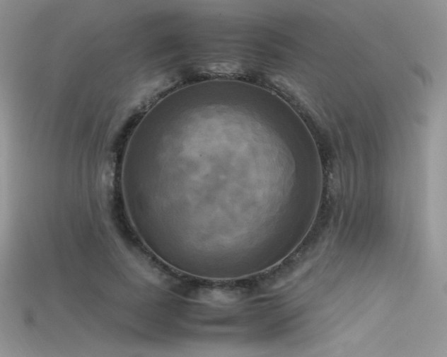 X0000115660739200911121213