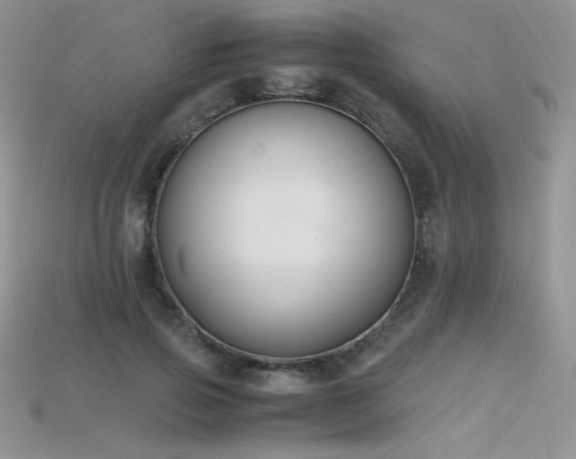 X0000115660741200911121213