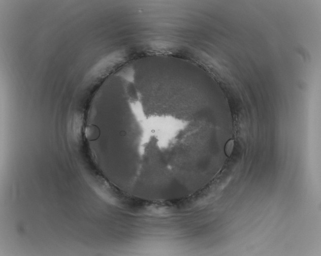 X0000115660742200911121213